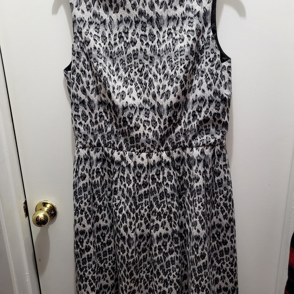 Taylor's Dresses